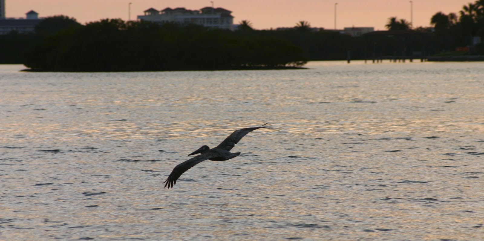Community and Conservation - Reach and Teach Ministry, Inc. photo 54