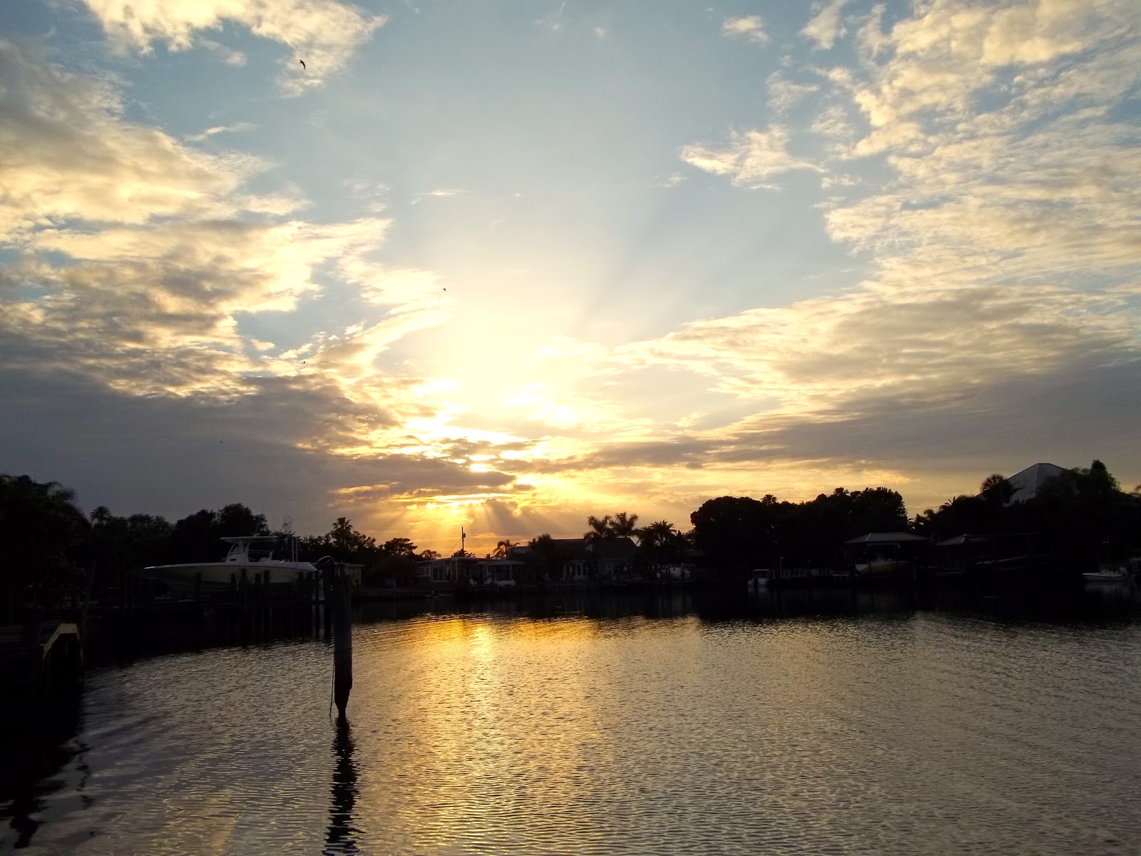 Community and Conservation - Reach and Teach Ministry, Inc. photo 19