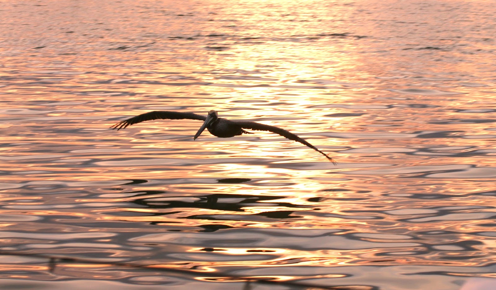 Community and Conservation - Reach and Teach Ministry, Inc. photo 48