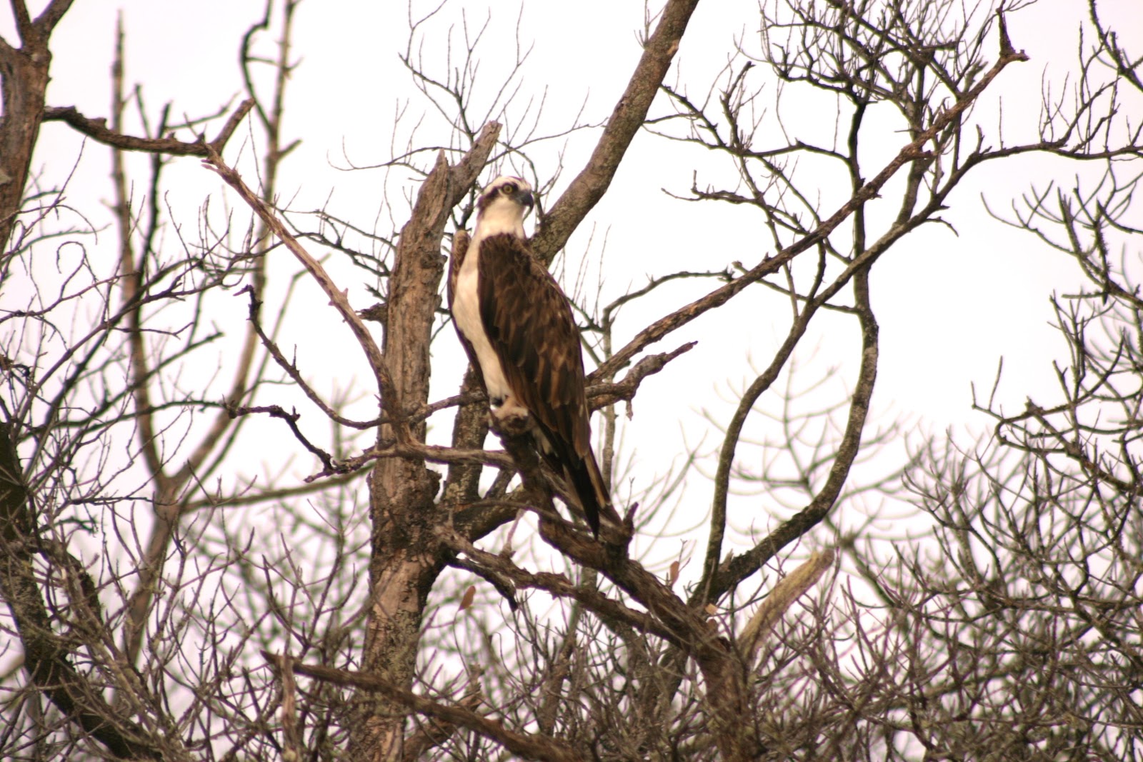 Community and Conservation - Reach and Teach Ministry, Inc. photo 33