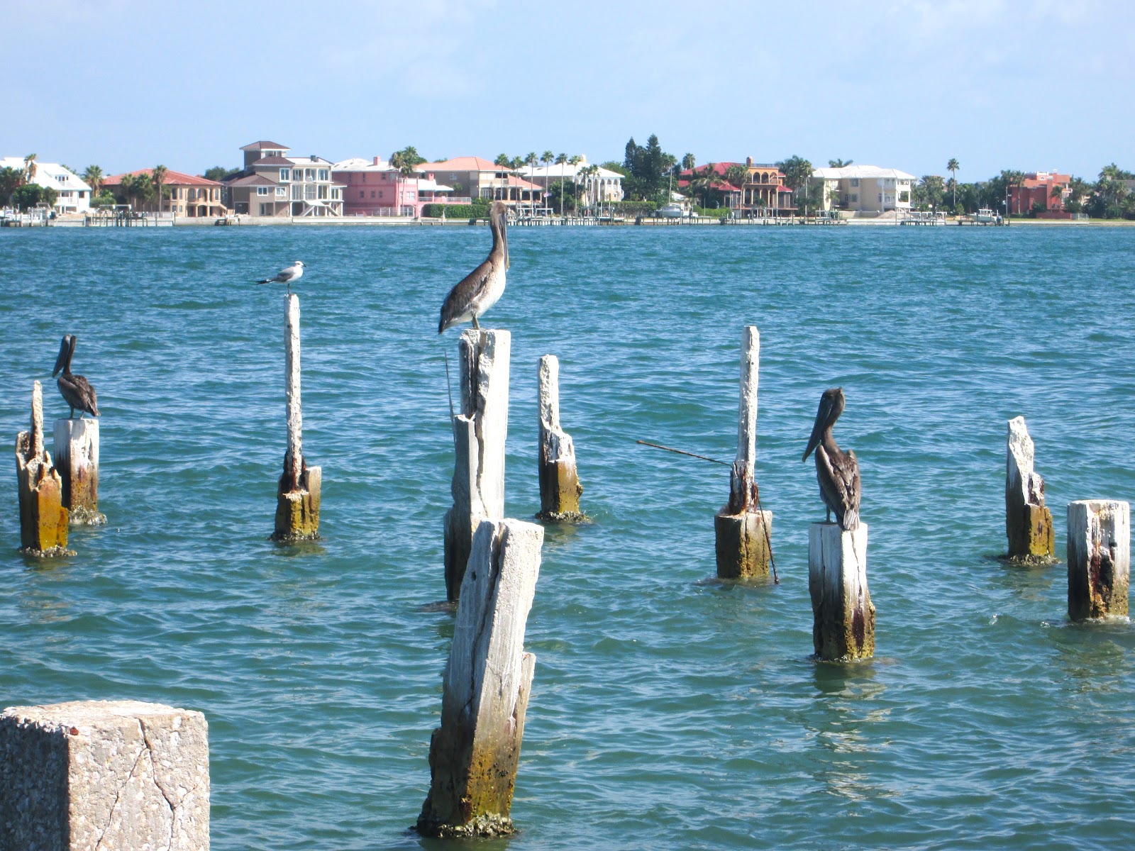 Community and Conservation - Reach and Teach Ministry, Inc. photo 12